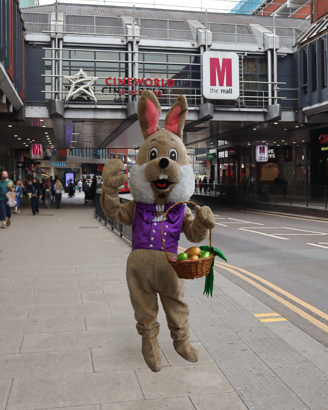 Bunny Dancing Ig (1)